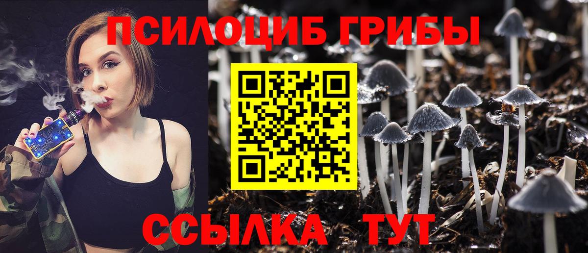 Псилоцибиновые грибы мицелий Сертолово